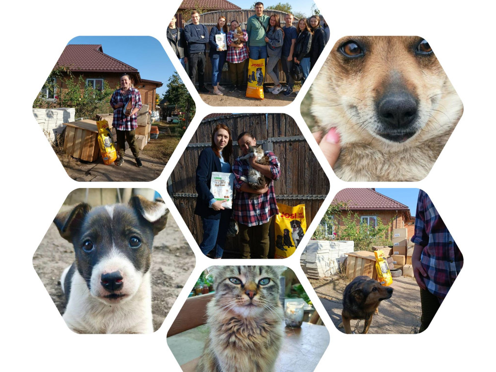 Немає в світі кращого психотерапевта, ніж цуценя, яке лизнуло вас в обличчя