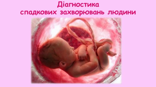 Відеотека.