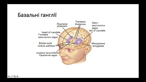 Відіотека.